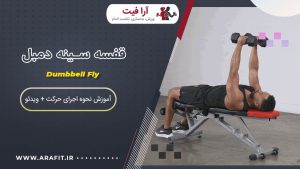 قفسه سینه دمبل