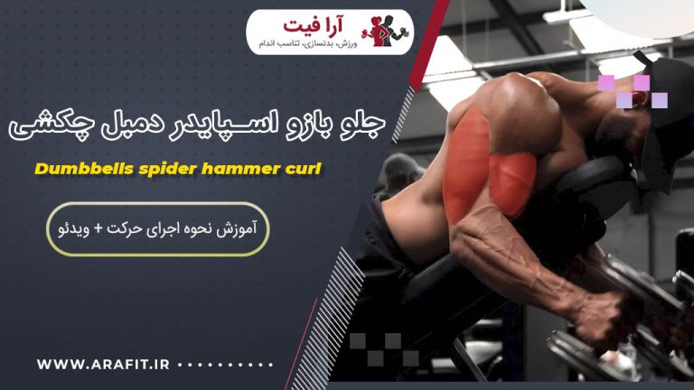 جلو بازو اسپایدر دمبل چکشی