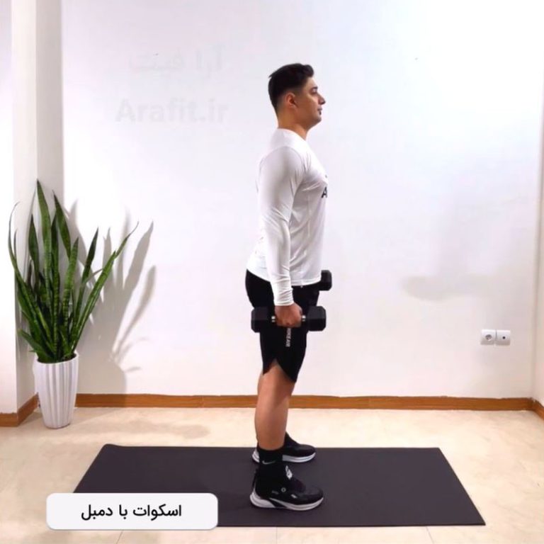 اسکوات دمبل