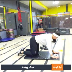 سگ پرنده